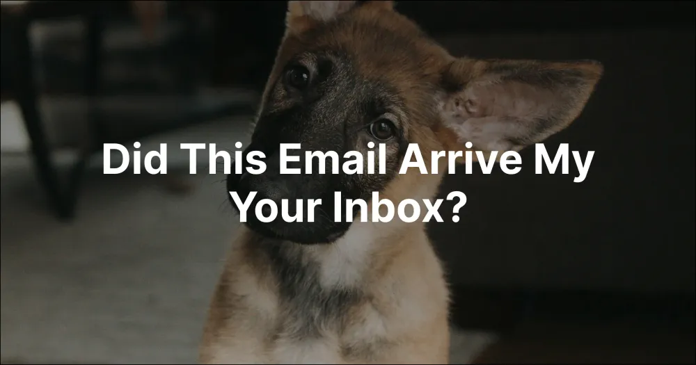 Did This Email Arrive In My Inbox?